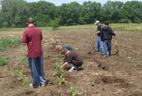 Kids and adults working with crops